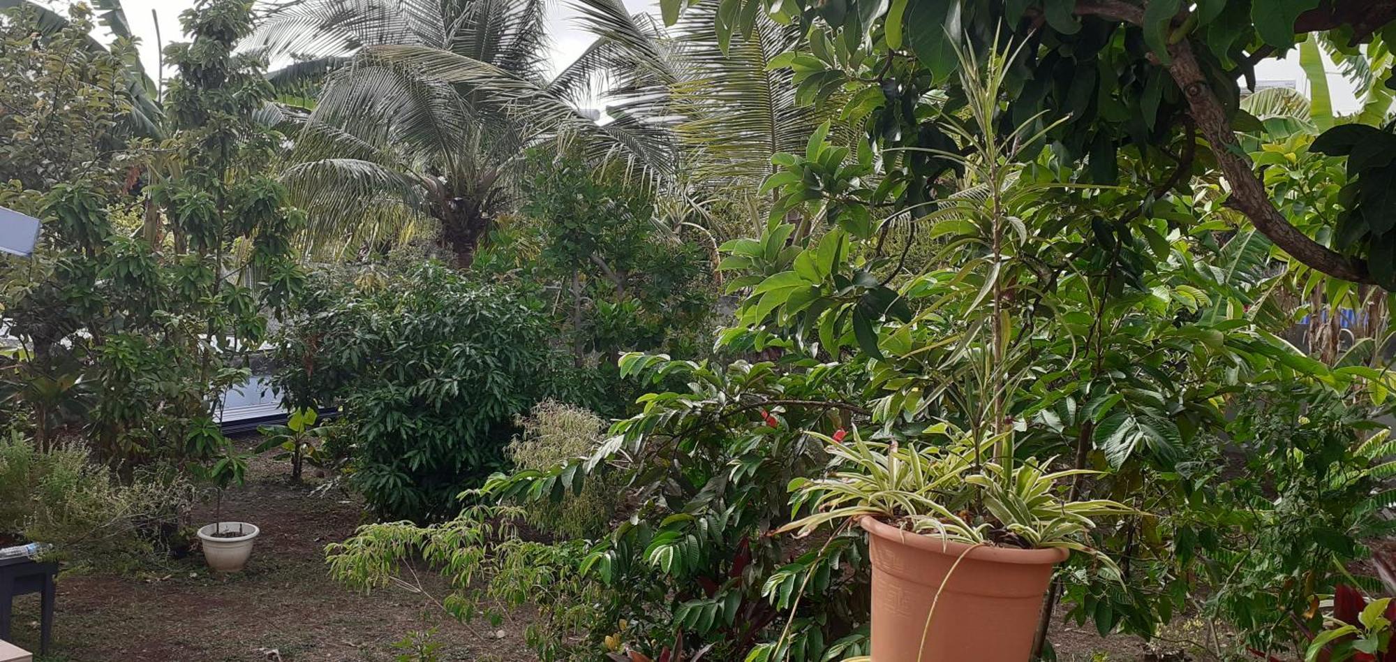 Le P'Tit Nid Cocodydy Baillif Exterior foto